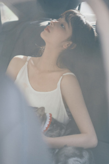 红犬历险记